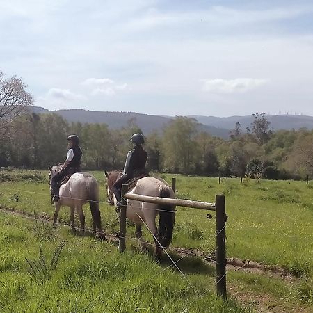 Granja Labrada: Alojamiento Con Caballos Manon Esterno foto