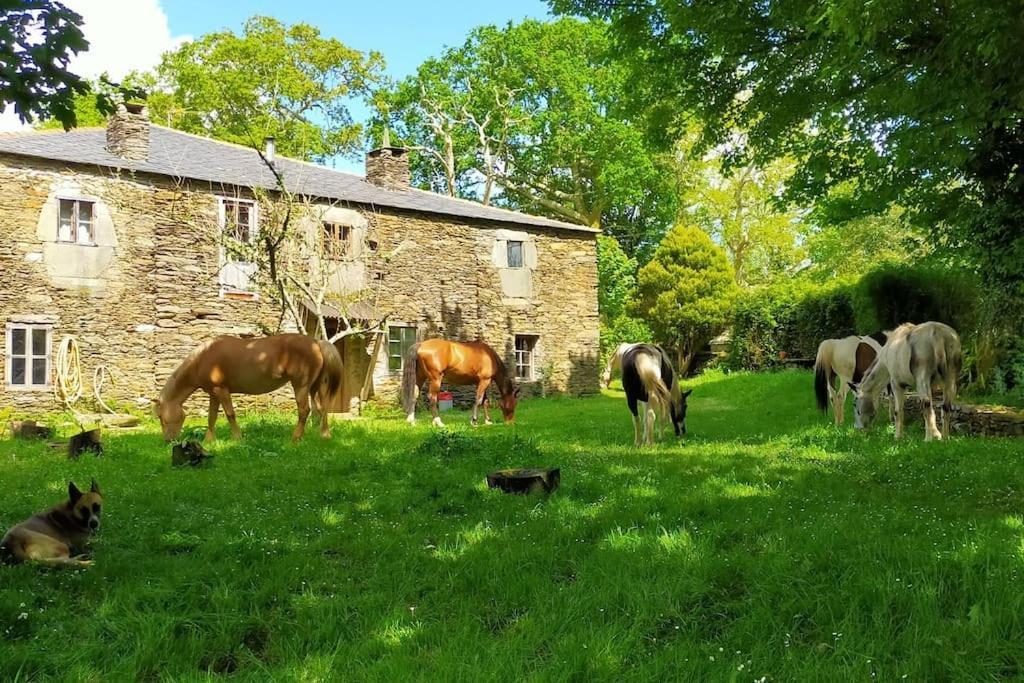 Granja Labrada: Alojamiento Con Caballos Manon Esterno foto